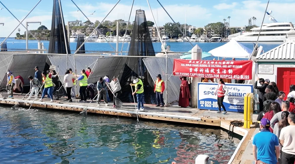 Honoring H.H. Dorje Chang Buddha III Day Through Life Release, Service, and Learning-图片2